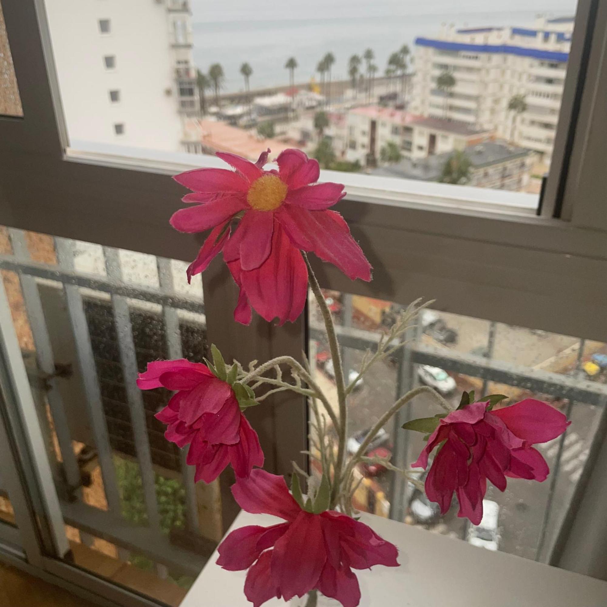 Benalmadena ,Apartamento-Estudio Primera Linea De Playa 외부 사진